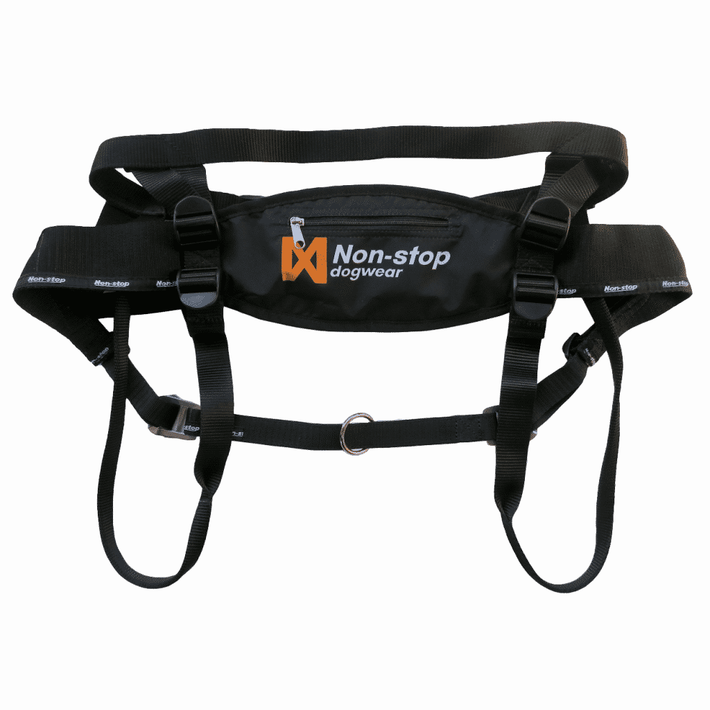 Nonstop Canix Belt 2.0 Laufgürtel - Weltmeisters Dogsport