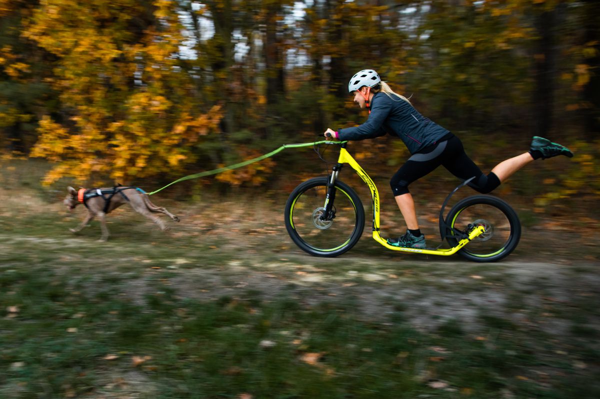 Dogscooter &amp; Bikejöring Zughundesport mit FunFactor